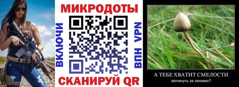 Галлюциногенные грибы GOLDEN TEACHER  Череповец 